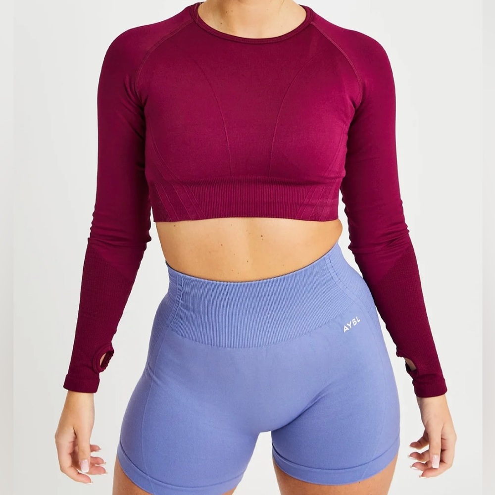 NWT AYBL Balance V2 Seamless Long Sleeve Crop Top